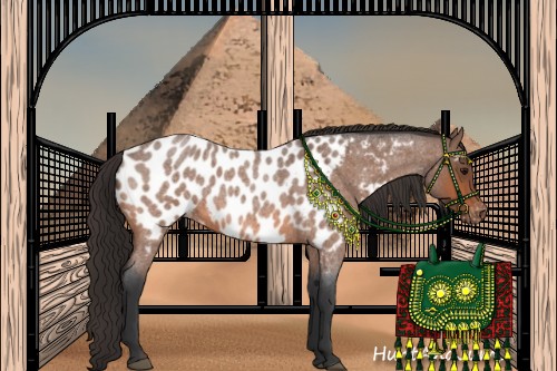 Horse Color:Bay Roan Near Leopard