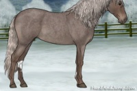 Horse Color:Silver Blue Roan 