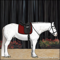 Horse Color:White Spotted Classic Champagne