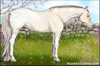 Horse Color:Silver Amber Champagne Roan Dun Splash Tobiano Frame Appaloosa Rabicano