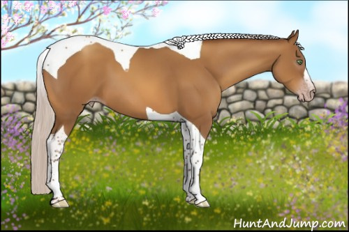 Horse Color:Gray Silver Amber Champagne Tobiano