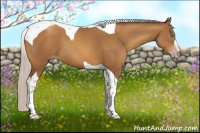 Horse Color:Gray Silver Amber Champagne Tobiano 