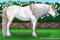 Horse Color:Gold Champagne Roan Dun Splash Tobiano Frame Near Leopard Rabicano