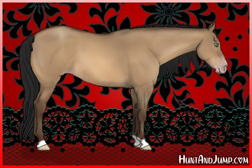 Horse Color:Gray Sable Champagne Dun 