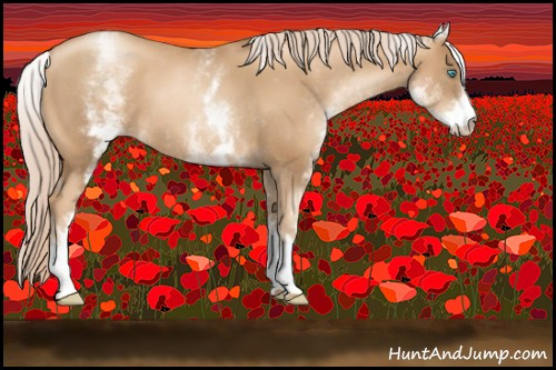 Horse Color:Gray White Spotted Gold Cream Champagne Pearl 
