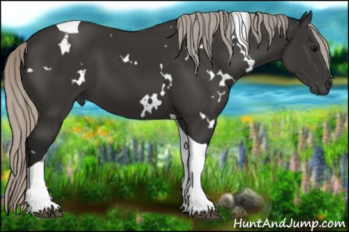 Horse Color:Gray White Spotted Silver Black Tobiano 