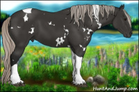 Horse Color:Gray White Spotted Silver Black Tobiano 