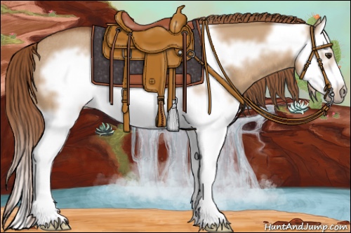 Horse Color:Red Dun Splash Frame Rabicano