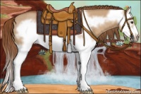 Horse Color:Red Dun Splash Frame Rabicano