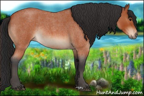 Horse Color:Bay Roan Rabicano 