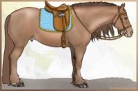 Horse Color:Black Pearl