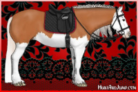 Horse Color:Silver Bay Splash 