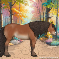 Horse Color:Brown 