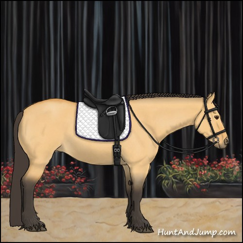 Horse Color:Buckskin Roan Dun Rabicano