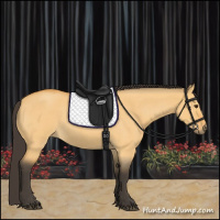 Horse Color:Buckskin Roan Dun Rabicano 