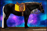 Horse Color:Void White Spotted Silver Bay 