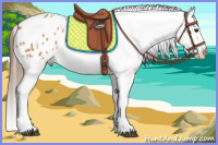 Horse Color:Bay Roan Tobiano Blanket Rabicano