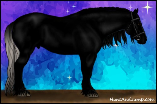 Horse Color:Void White Spotted Silver Bay Dun Sabino Appaloosa 