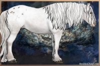 Horse Color:Silver Blue Roan Appaloosa 