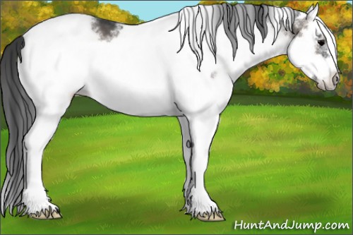 Horse Color:White Spotted Blue Onyx Roan Splash Frame 
