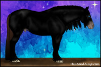 Horse Color:Gray Void Classic Champagne Roan Dun Splash Tobiano Frame Appaloosa