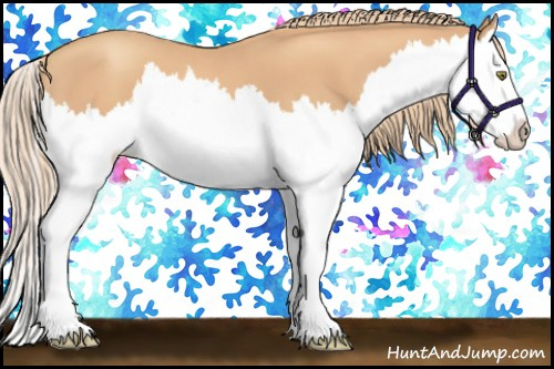 Horse Color:Gold Champagne Splash 