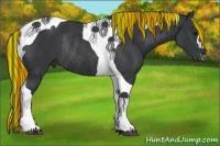 Horse Color:Painted Black Tobiano Rabicano 