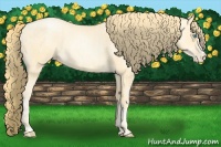 Horse Color:Buckskin Roan Pearl  and Buckskin Roan Pearl 