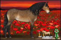 Horse Color:Gray Buckskin Dun Brindle 