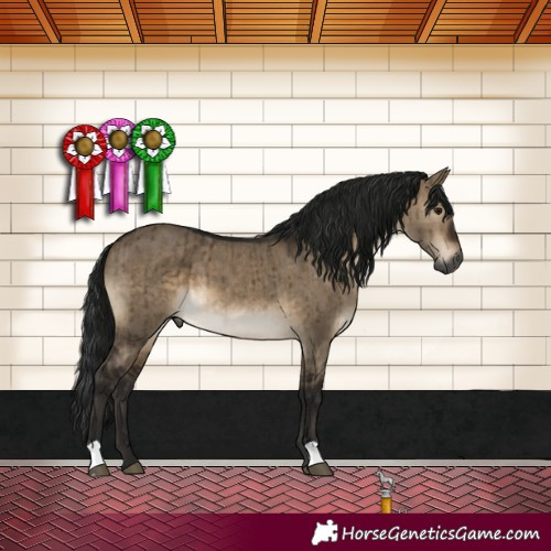 Horse Color:Gray Brown Dun Brindle 