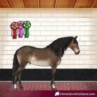 Horse Color:Gray Brown Dun Brindle 