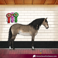 Horse Color:Gray Brown Dun Brindle 