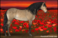Horse Color:Gray Bay Dun Brindle