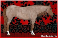 Horse Color:Red Roan 
