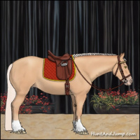 Horse Color:Silver Amber Champagne