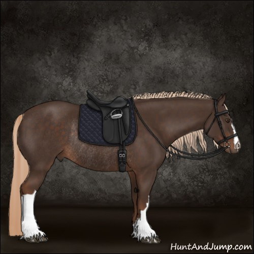 Horse Color:Liver Chestnut Rabicano 