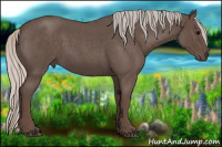 Horse Color:Silver Blue Roan 