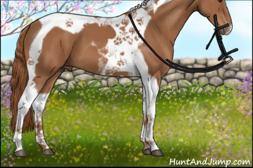 Horse Color:Chestnut Tobiano 