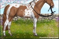 Horse Color:Chestnut Tobiano 