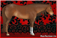 Horse Color:Gray Chestnut 