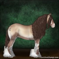 Horse Color:Classic Champagne Onyx 