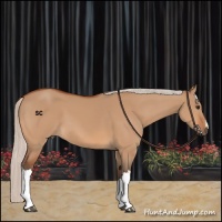 Horse Color:Silver Bay Dun