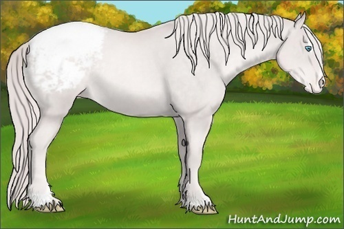Horse Color:Platinum Palomino Pearl Sabino Snowcap Rabicano