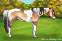 Horse Color:Bay Onyx Tobiano Rabicano Brindle 