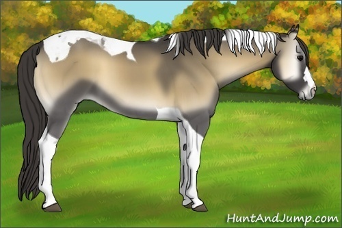 Horse Color:Smoky Blue Onyx Tobiano 