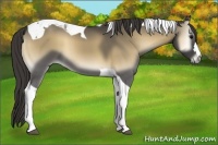 Horse Color:Smoky Blue Onyx Tobiano 