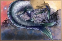 Horse Color:Buckskin Dun 