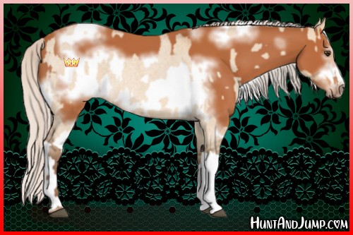 Horse Color:Silver Bay Roan Dun  and Silver Bay Sabino Tobiano Frame 