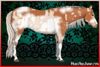 Horse Color:Silver Bay Roan Dun  and Silver Bay Sabino Tobiano Frame 