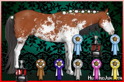 Horse Color:Bay Sabino 